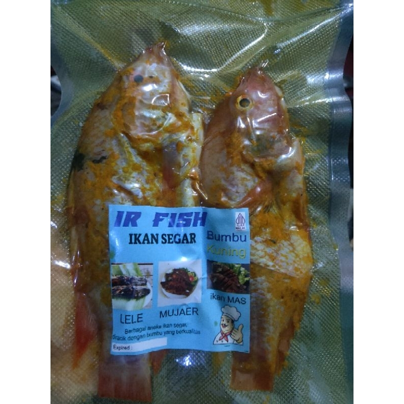 

ikan nila bumbu kuning fres