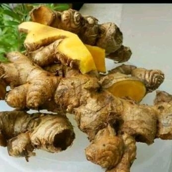 

panglai / pangle 500 gr