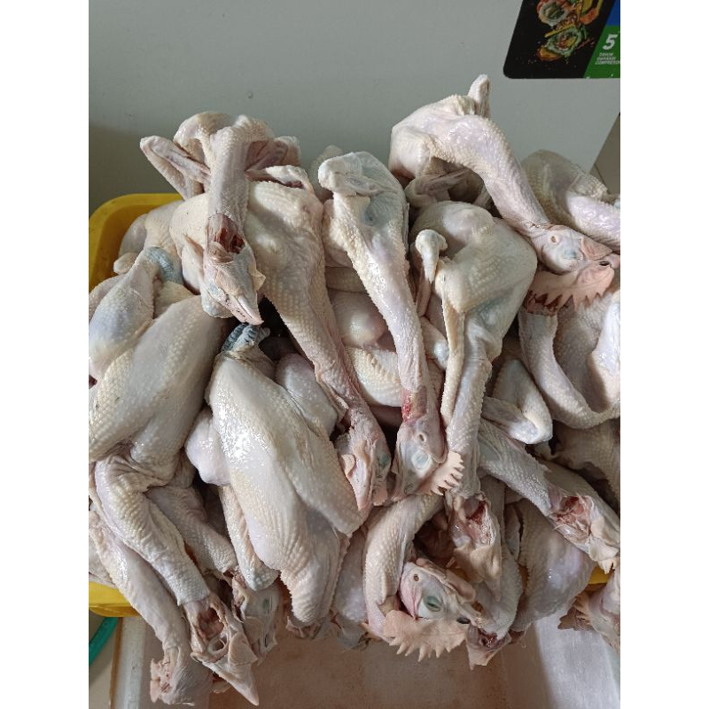 

Ayam Kampung Asli 800 Gram