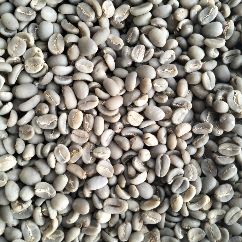 

KOPI ARABICA TORAJA GREEN BEAN (BIJI KOPI MENTAH) 1 KG/1000 GR
