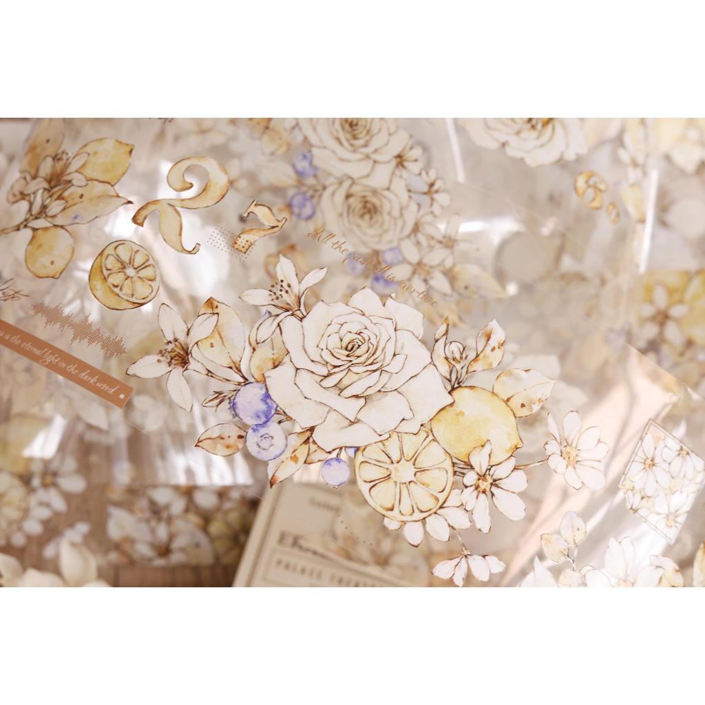 

Xiaobaijia Afternoon Sunshine PET Tape