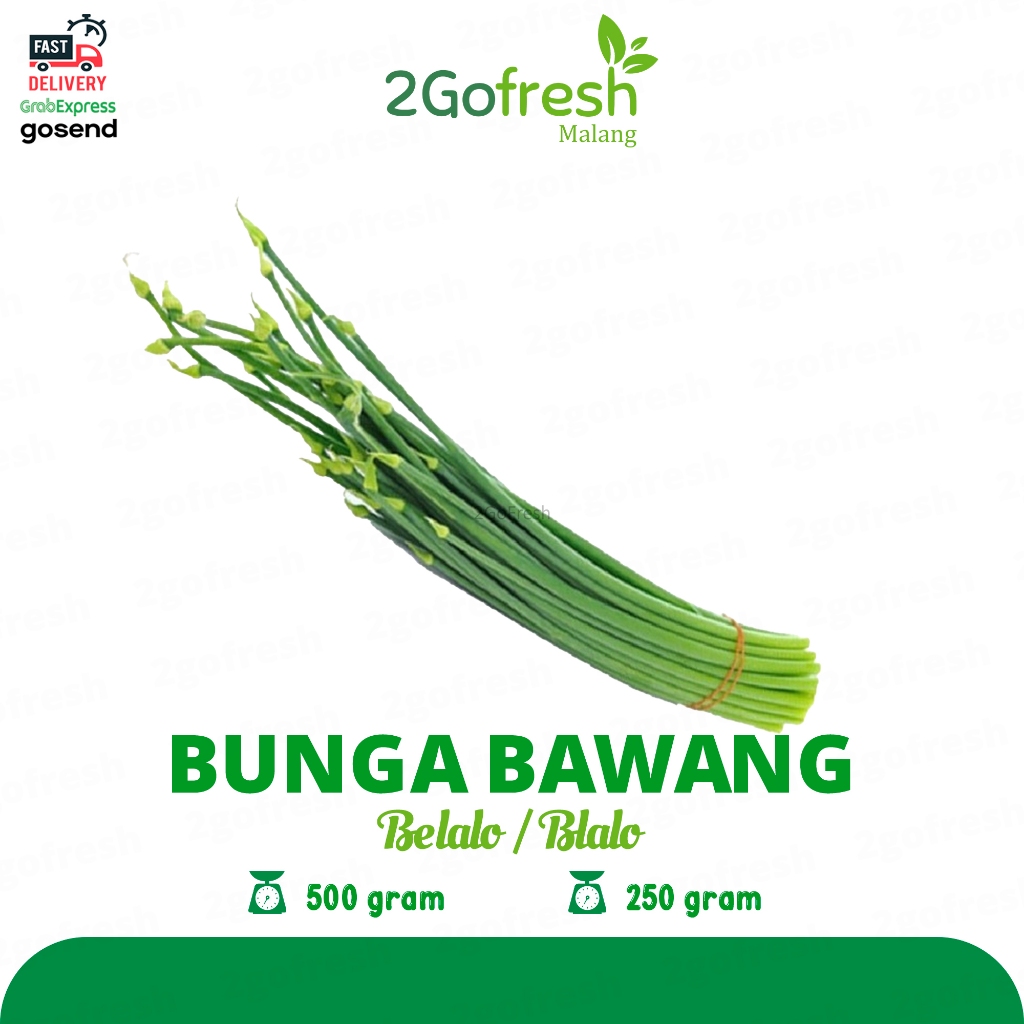 

Bunga Bawang / Belalo / Blalo Fresh - Sayur Sayuran