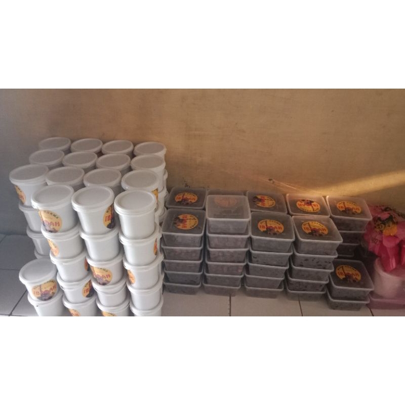 

kurma ibadah