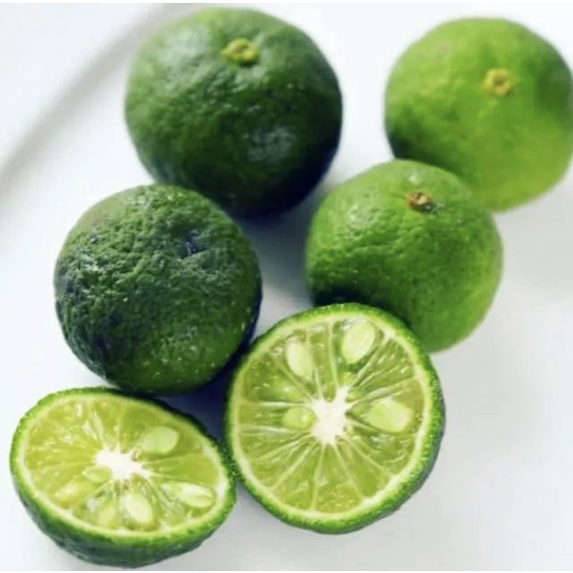 

jeruk limo Jeruk Limau Segar 500gram Grade A Pasar Induk Pasar Modern