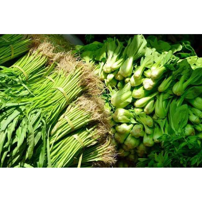 

kacang panjang 1 ikat