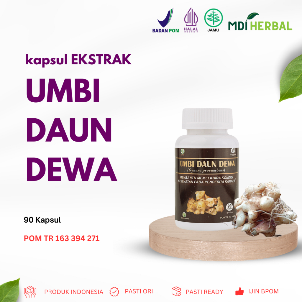 Kapsul Ekstrak Umbi Daun Dewa