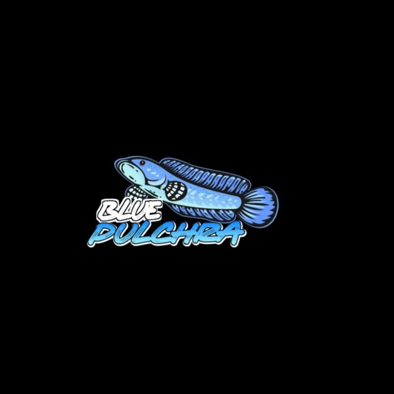 stiker blue pulchra 12-14cm