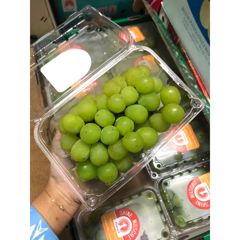 

Anggur Shine Muscat Peacock Berat 500 gram / pack