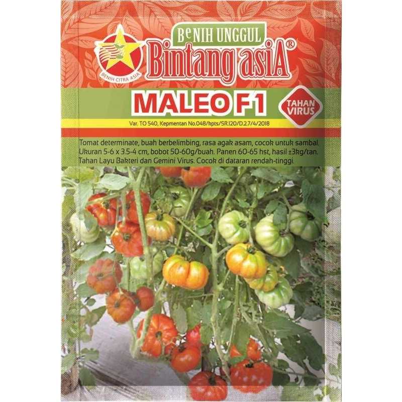 Benih Tomat Maleo F1 5 Gram Cap Bintang Asia  Tahan virus Buah lebat Cocok di dataran Rendah-Tinggi