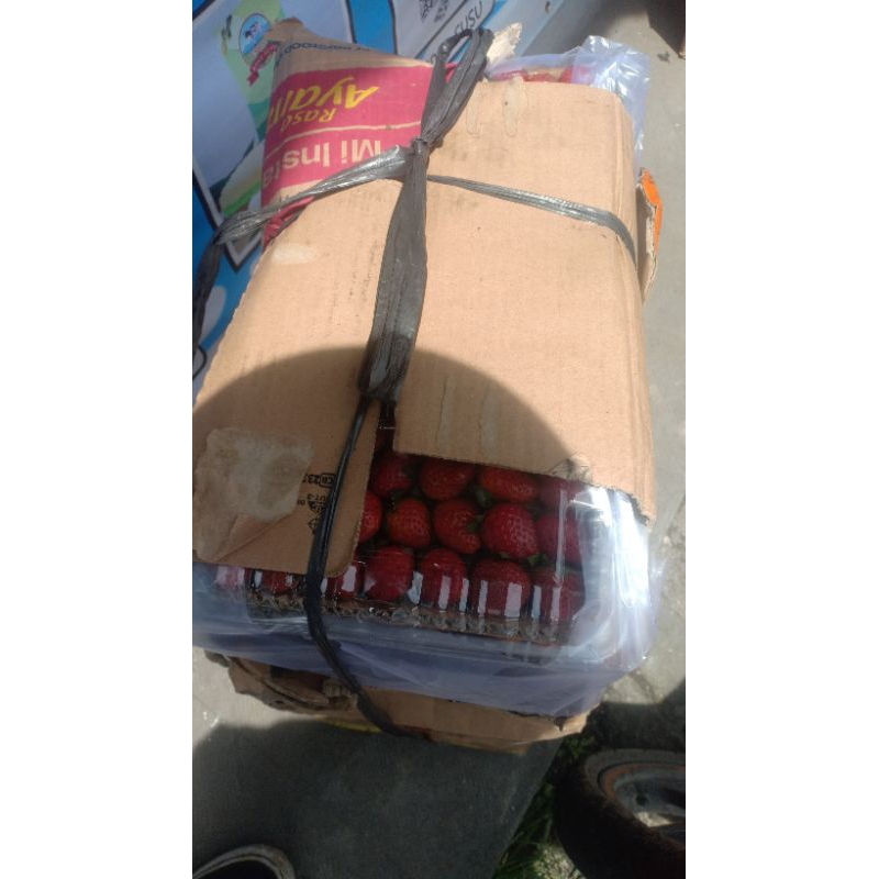 

moci susu , stroberi, lasberi , blackberry, dll