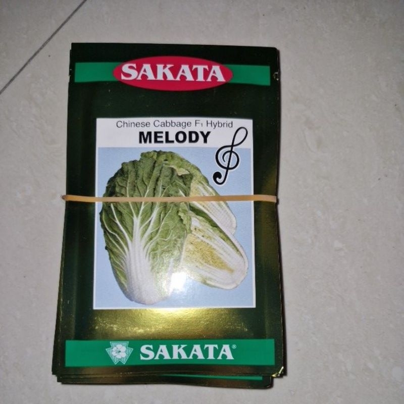 

Sawi Putih Sakata Melody 10gr F1