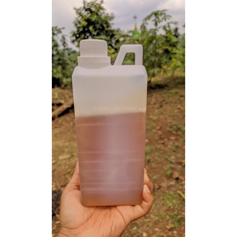 

madu multiflora 1000g