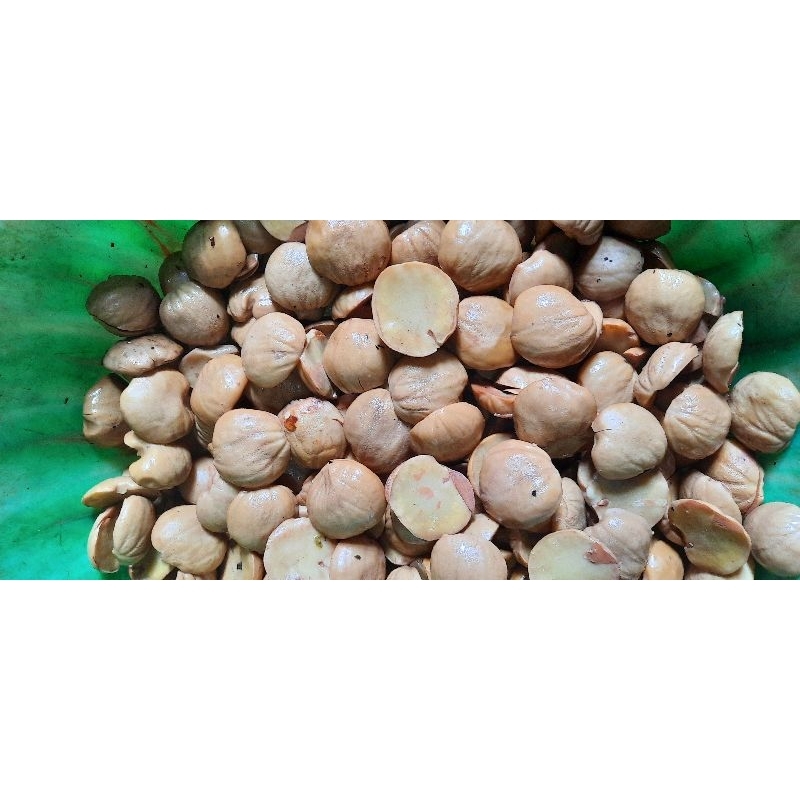 

jengkol 1kg murah