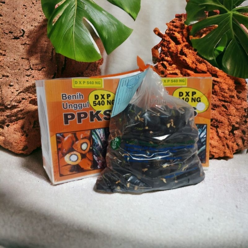 bibit sawit DxP PPKS 540 sertifikaT