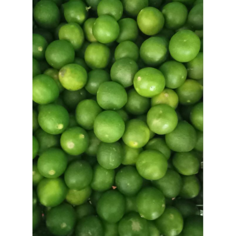 

jeruk nipis - 250 gr