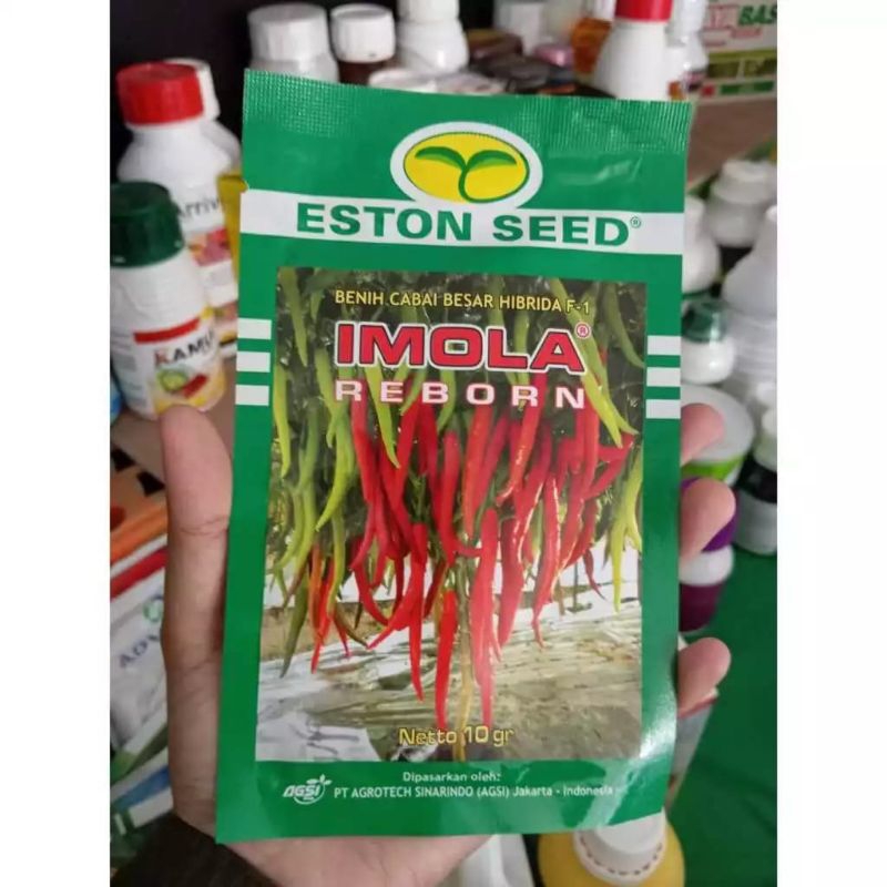 Benih bibit Cabe merah besar IMOLA REBORN F1 10 gram original