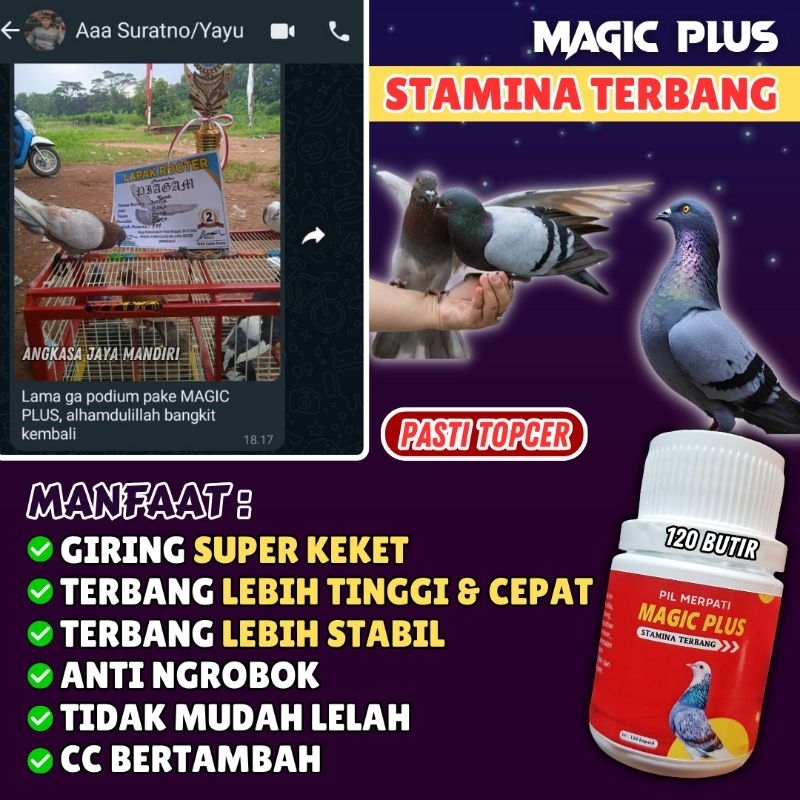 Magic Plus - Stamina Merpati Giring Keras Jamu Giring Magicplus