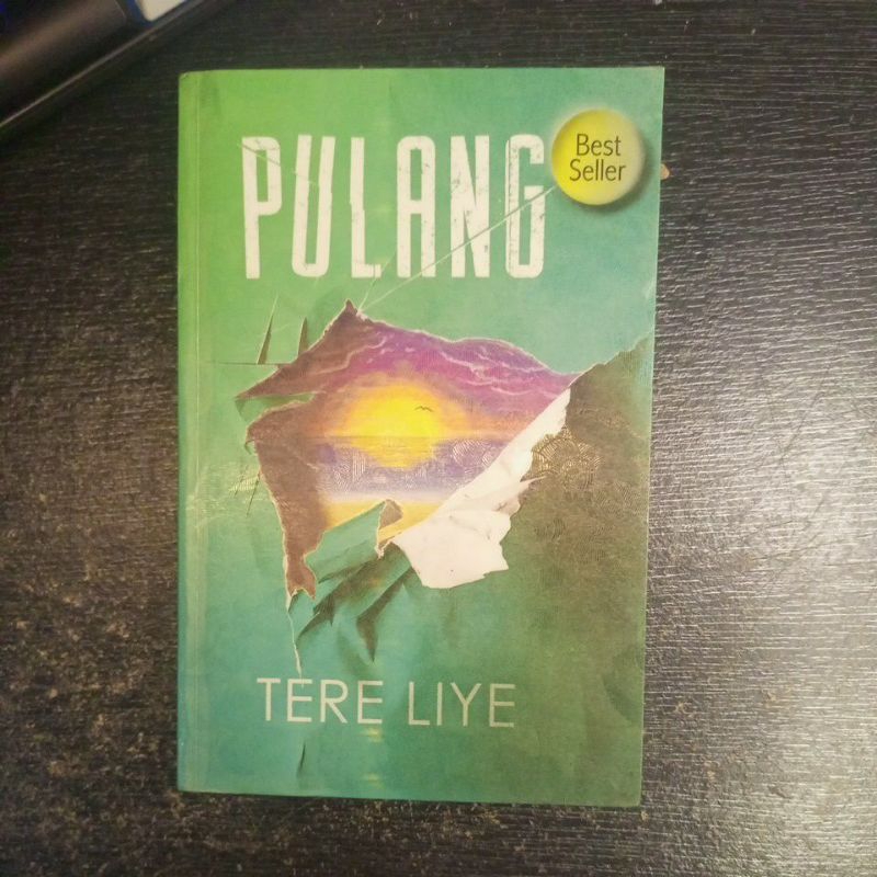 Novel Preloved Pulang dan Pergi Tere Liye