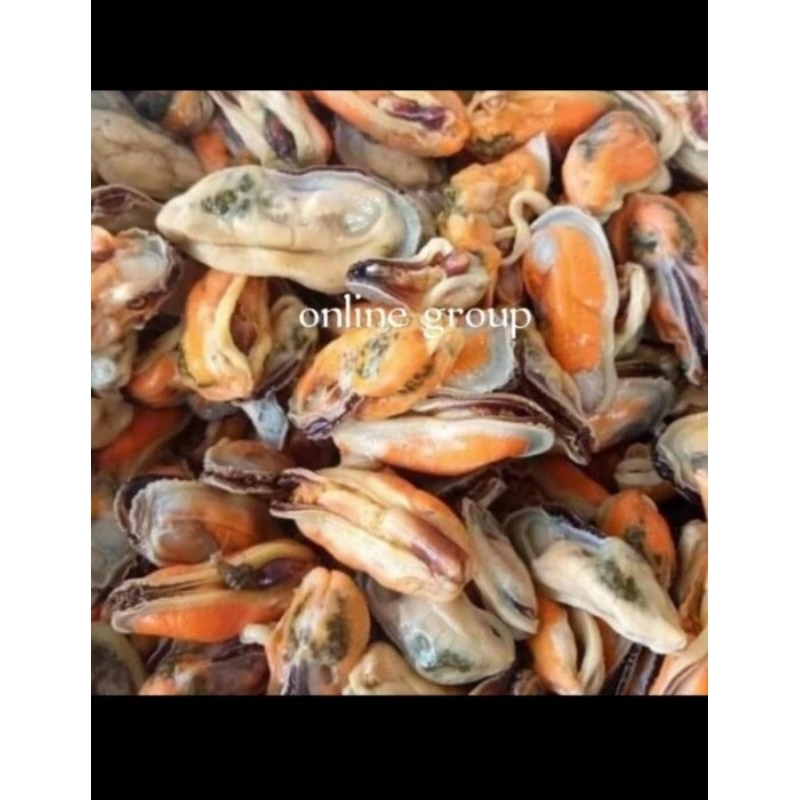 

KERANG HIJAU KUPAS BESAR / DAGING KERANG HIJAU BESAR PILIHAN 1 KG