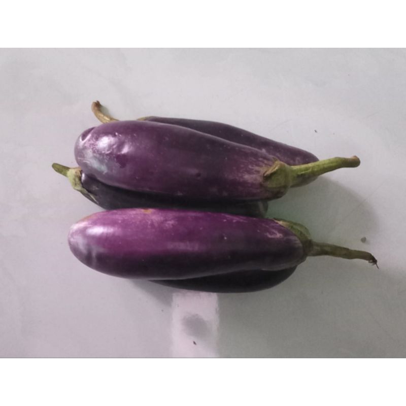 

Terong panjang ungu - 500 gr