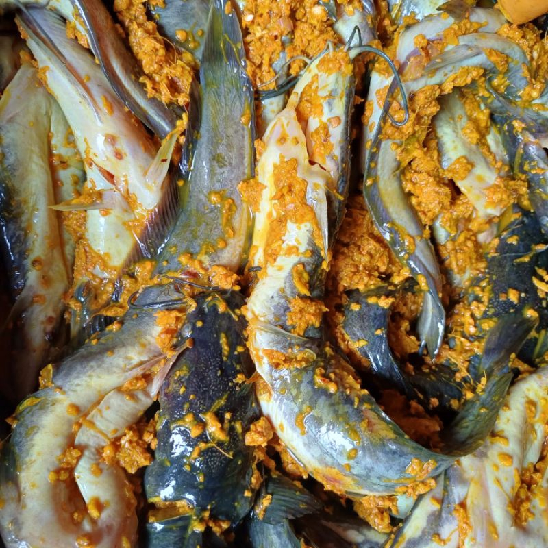 

Ikan lele kere basah kemasan 500 gram (½kg)