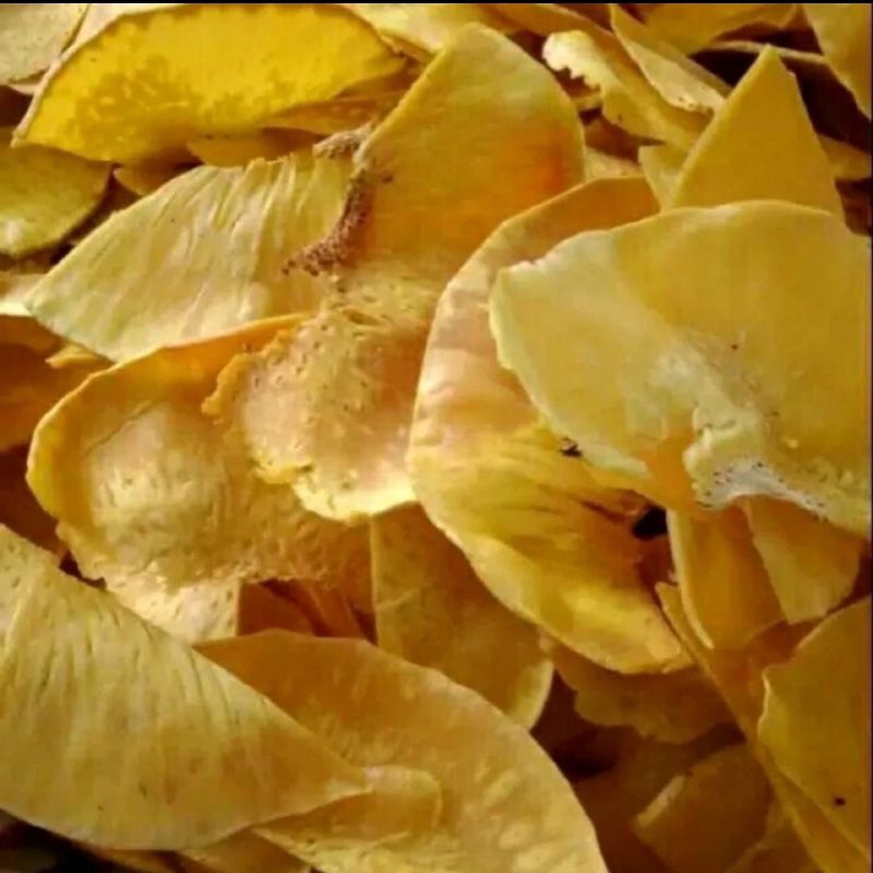 

TERMURAH KERUPUK SUKUN GURIH RENYAH 200 GRAM / KERUPUK SUKUN ASIN GURIH / KERUPUK SUKUN / KERIPIK SUKUN ASIN GURIH / KERIPIK SUKUN