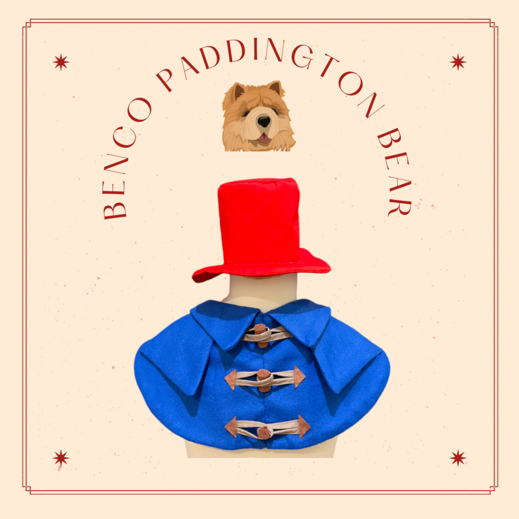 PADDINGTON BEAR - Kostum/Celemek Anjing & Kucing