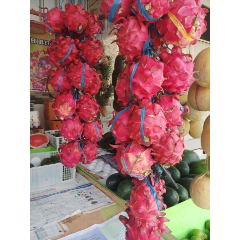 

Buah Naga Segar 500 gram - 1 kg