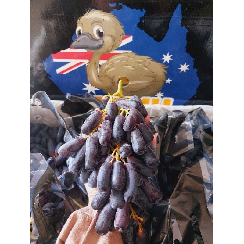 Anggur moondrop 1kg