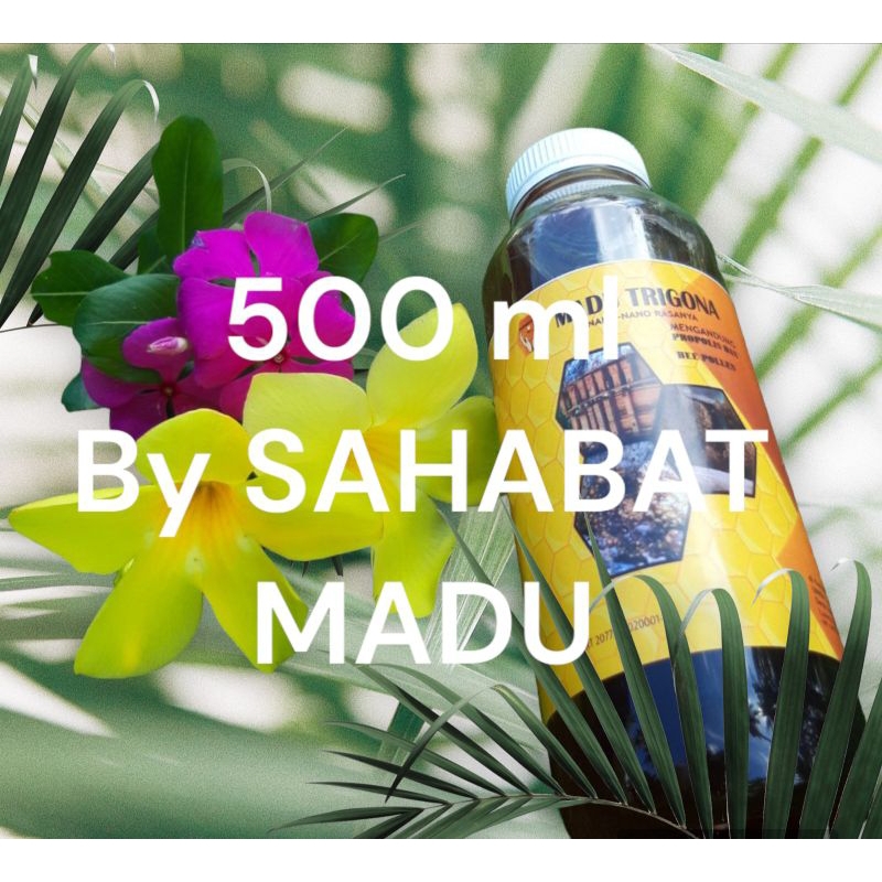 

Madu Trigona Sehat Awet Alami Murni Manis Asam