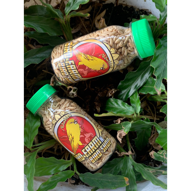 HAVER KUPAS BIJI GANDUM BERSIH SUPER 70g