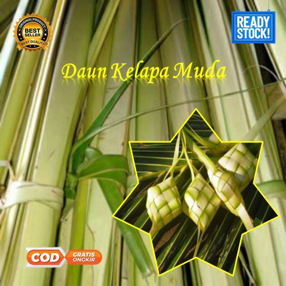 

0bral jual daun kelapa muda segar,bahan ketupat lebaran,janur 50 lembar