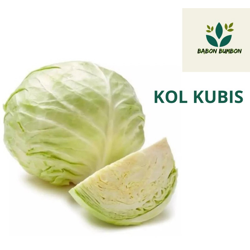 

KOL KUBIS FRESH 500gr