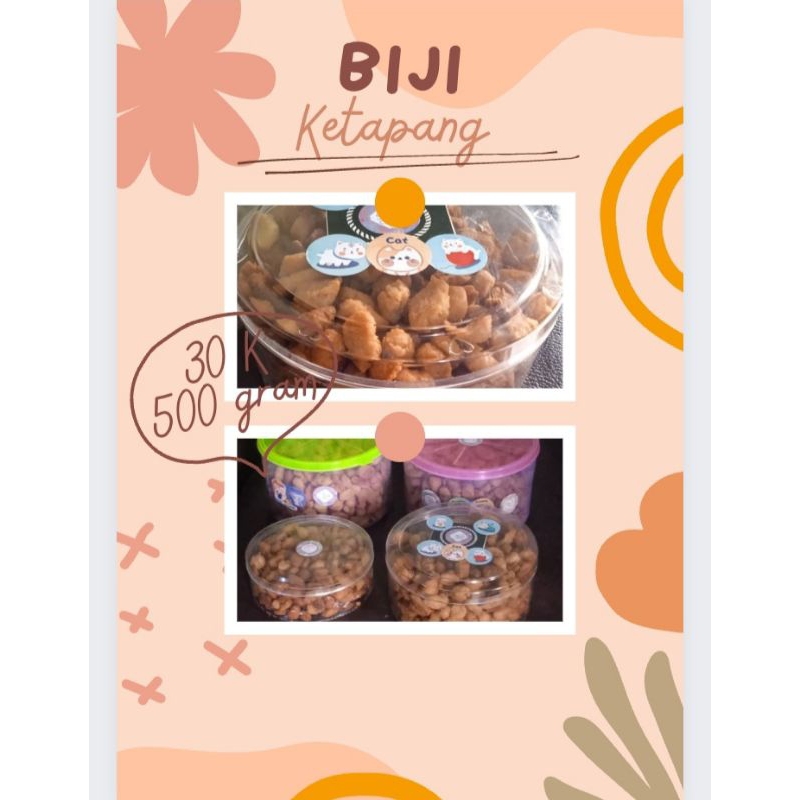 

Biji Ketapang