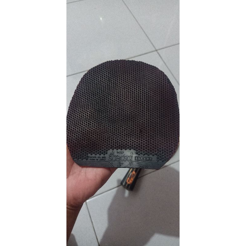 karet bintik serang spectol (tsp) second