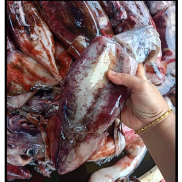 

CUMI KONDOM Size Besar Fresh