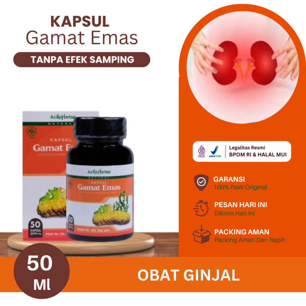 Obat Ginjal, Ginjal Rusak, Ginjal Bermasalah, Infeksi Pada Ginjal, Ginjal Bocor, Batu Ginjal, Gagal 