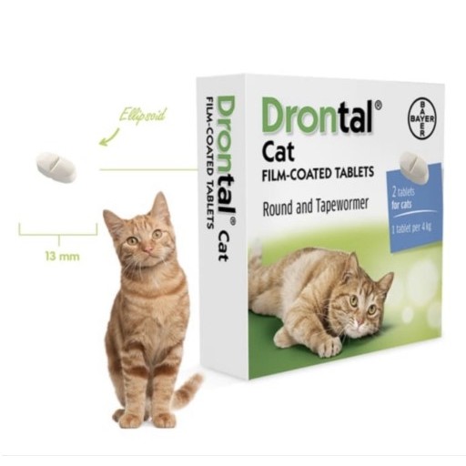 Drontal cat