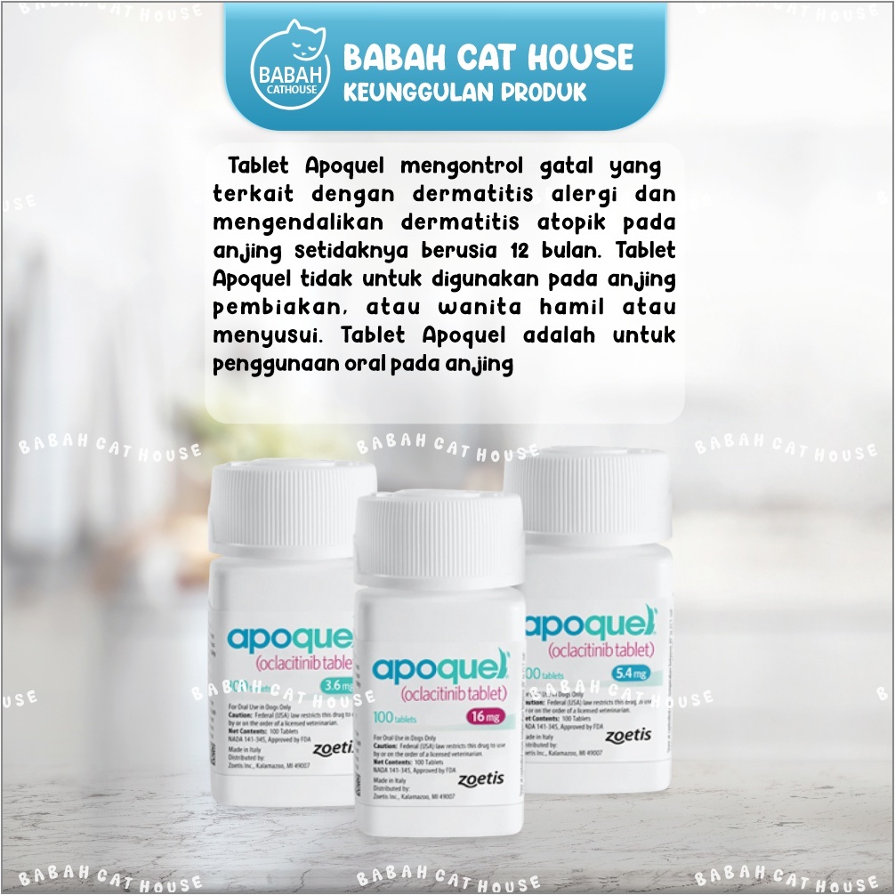 Terbaru 1 Tablet Apoquel Obat Anti Gatal Eksim Radang Kulit Anjing Alergi Dewasa Ampuh Demodek