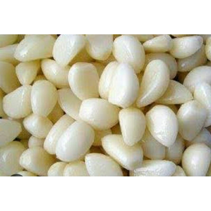 

Bawang Putih Kupas Fresh Rempah-Rempah Umbi