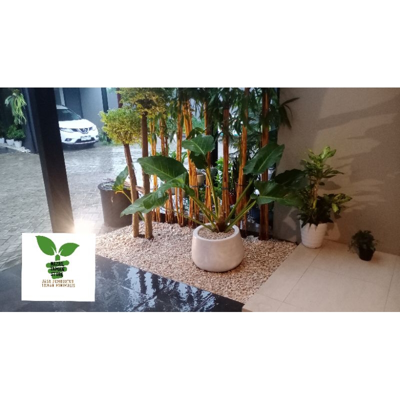 Taman minimalis depok/ taman depok