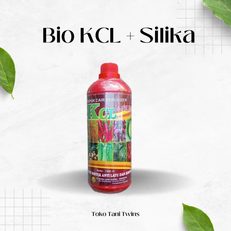 Bio KCL + Silika 1000ml