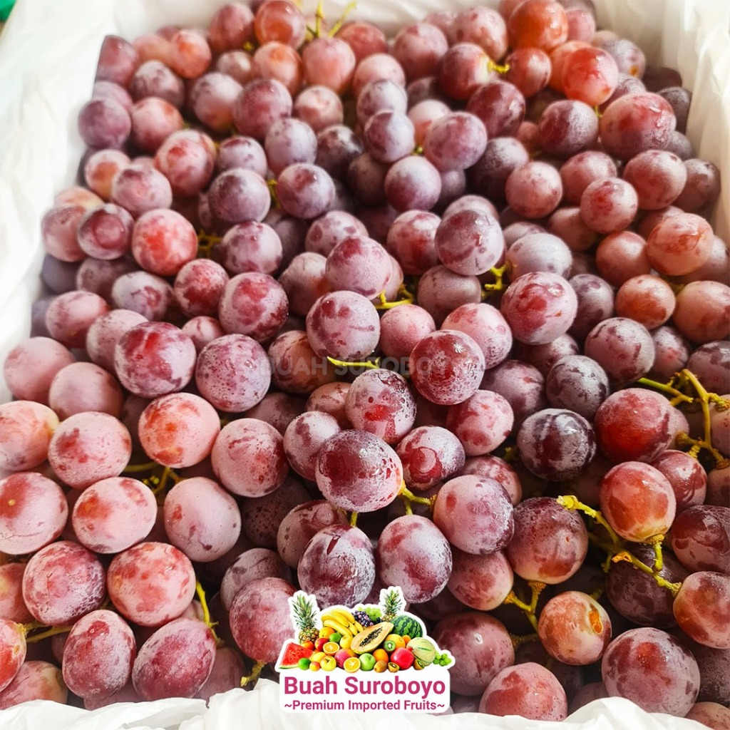 

Anggur Merah RRC (Biji)