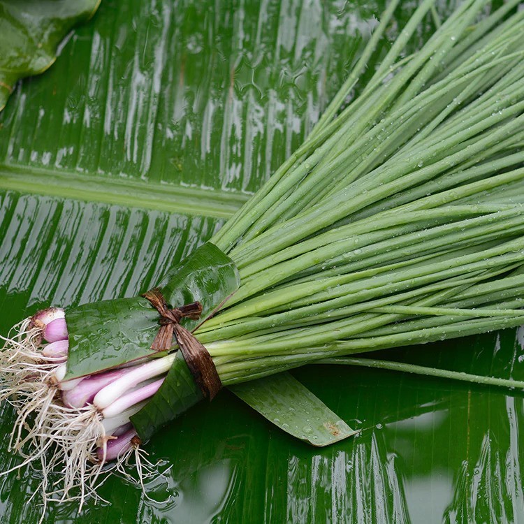 

Daun Bawang Sidoarjo Kecil Segar 100gr
