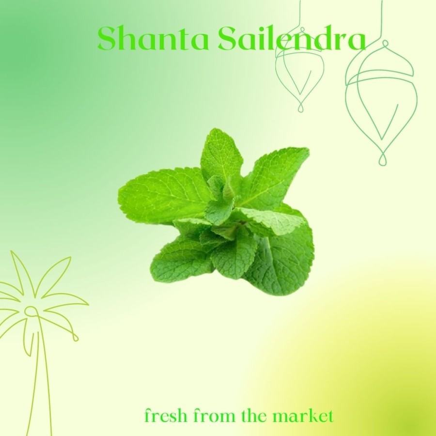 

DAUN MINT SEGAR 100 GRAM