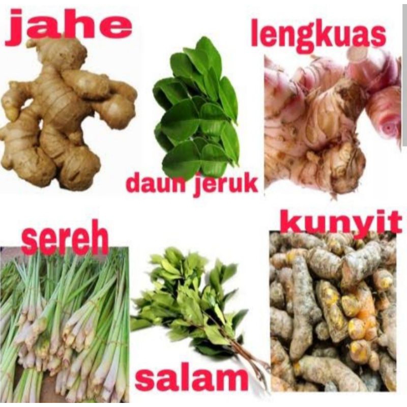 

paket_bumbu dapur lengkap
