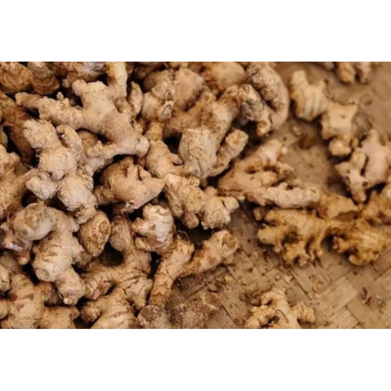 

jahe putih segar_200gr