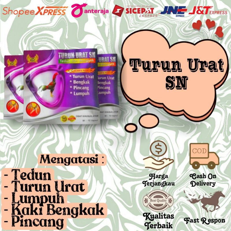 Turun Urat SN Mengobati Lumpuh, Turun Urat, Bengkak, & Pincang Pada Ayam