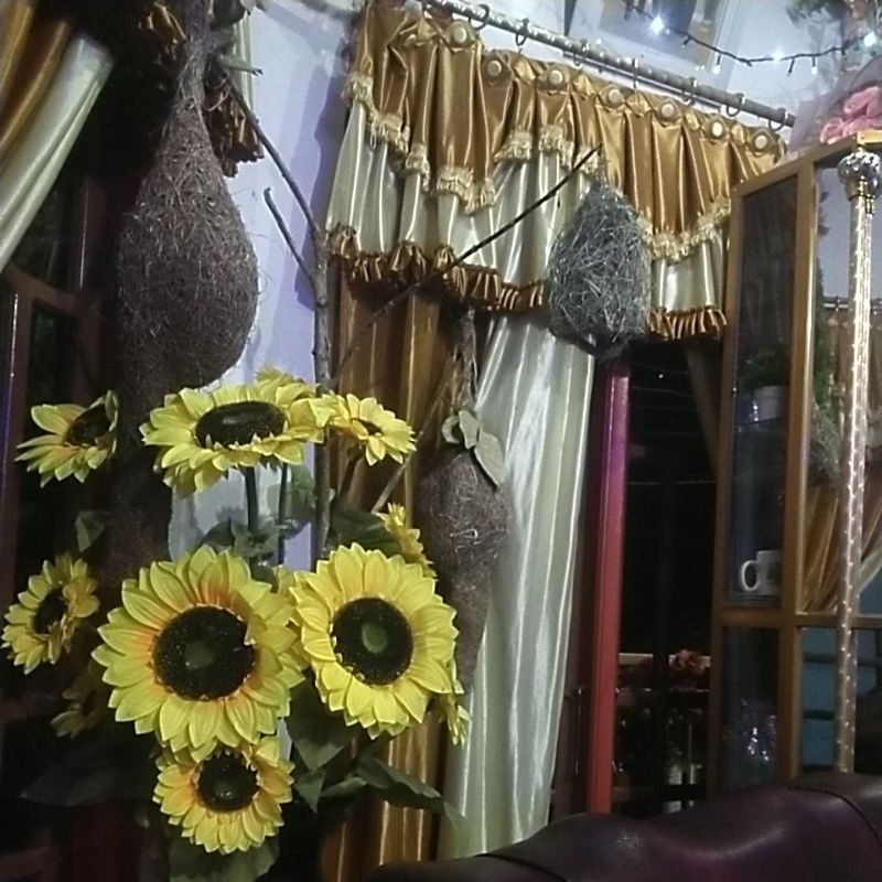 hiasan rumah sarang burung seniman, Manyar, pipit pintar, empirit