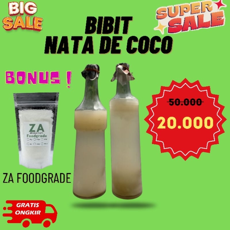 

Bibit Starter Biang Nata De Coco Acetobacter xylinium